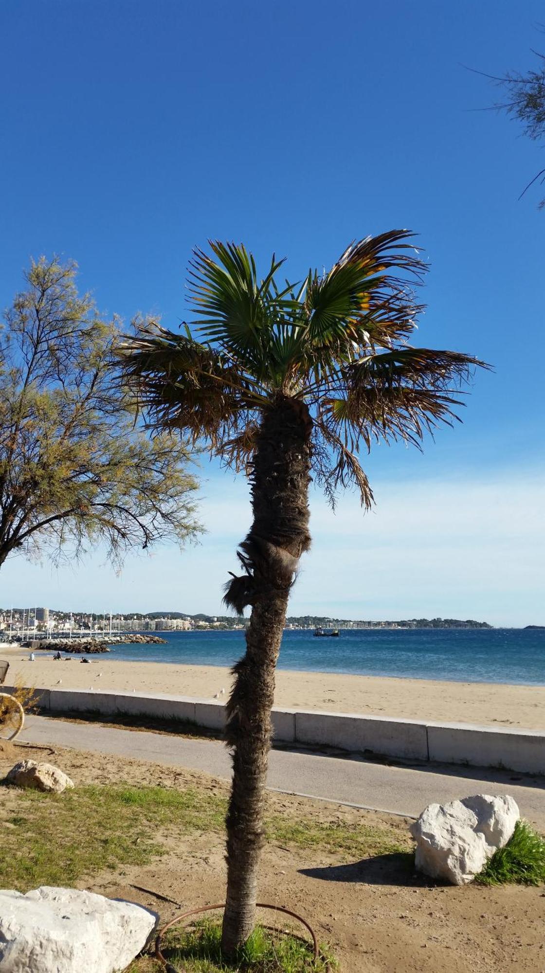 Sublime Vue Mer,Parking,Wifi Fréjus 外观 照片