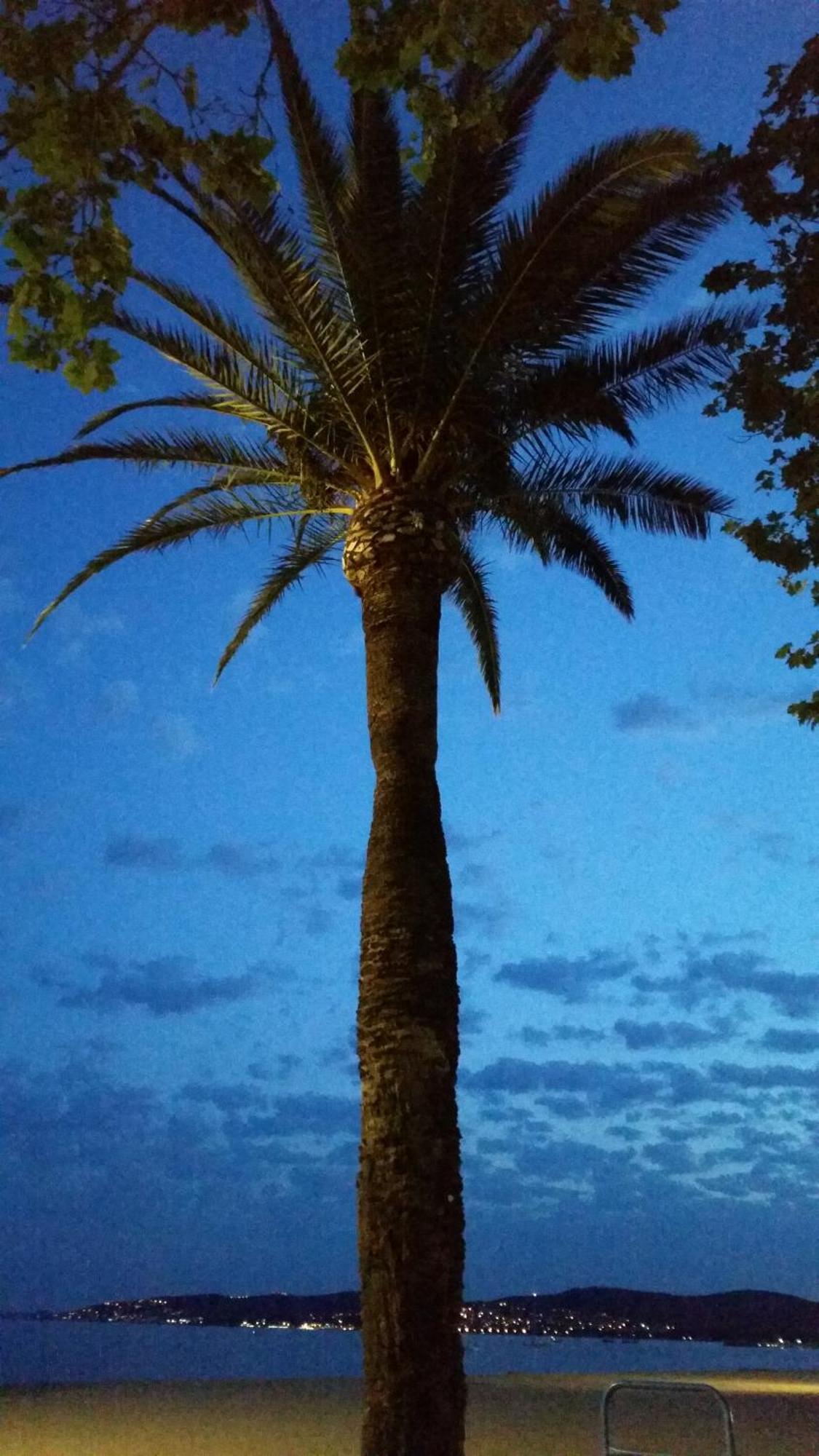 Sublime Vue Mer,Parking,Wifi Fréjus 外观 照片